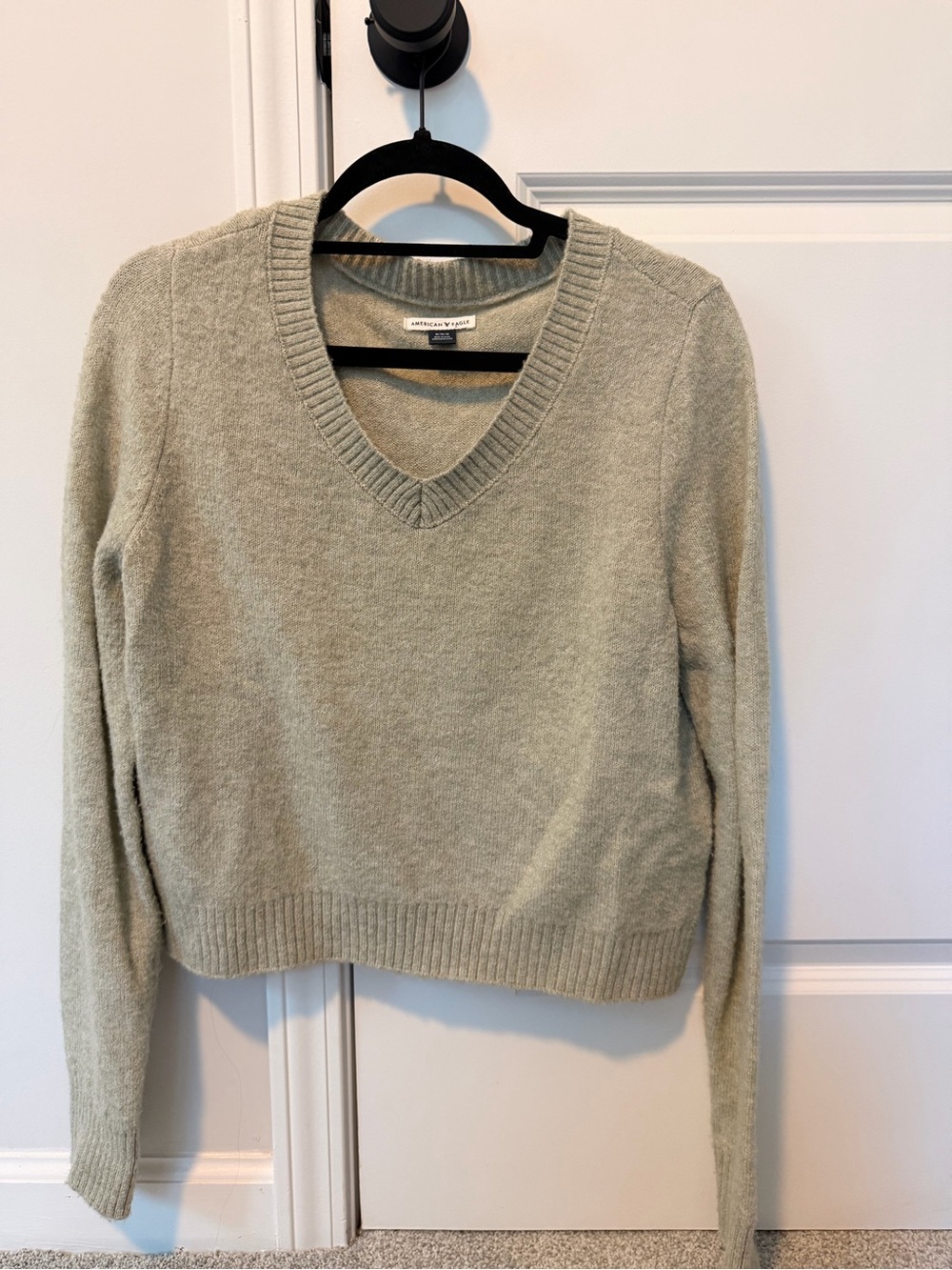 American Eagle Outfitters V-Neck Sweater in Sage Green
